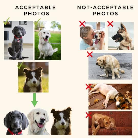 Photo Tag - Christmas Dog Tags with Photo