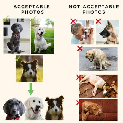 Photo Tag - Christmas Dog Tags with Photo