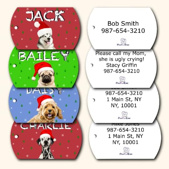 Photo Tag - Christmas Dog Tags with Photo