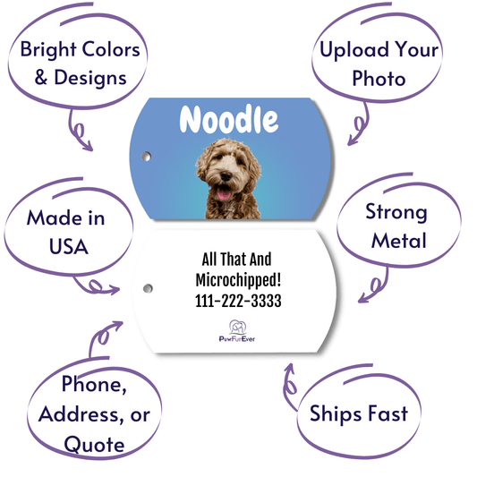 Photo Tag - Photo Tag (Blue)