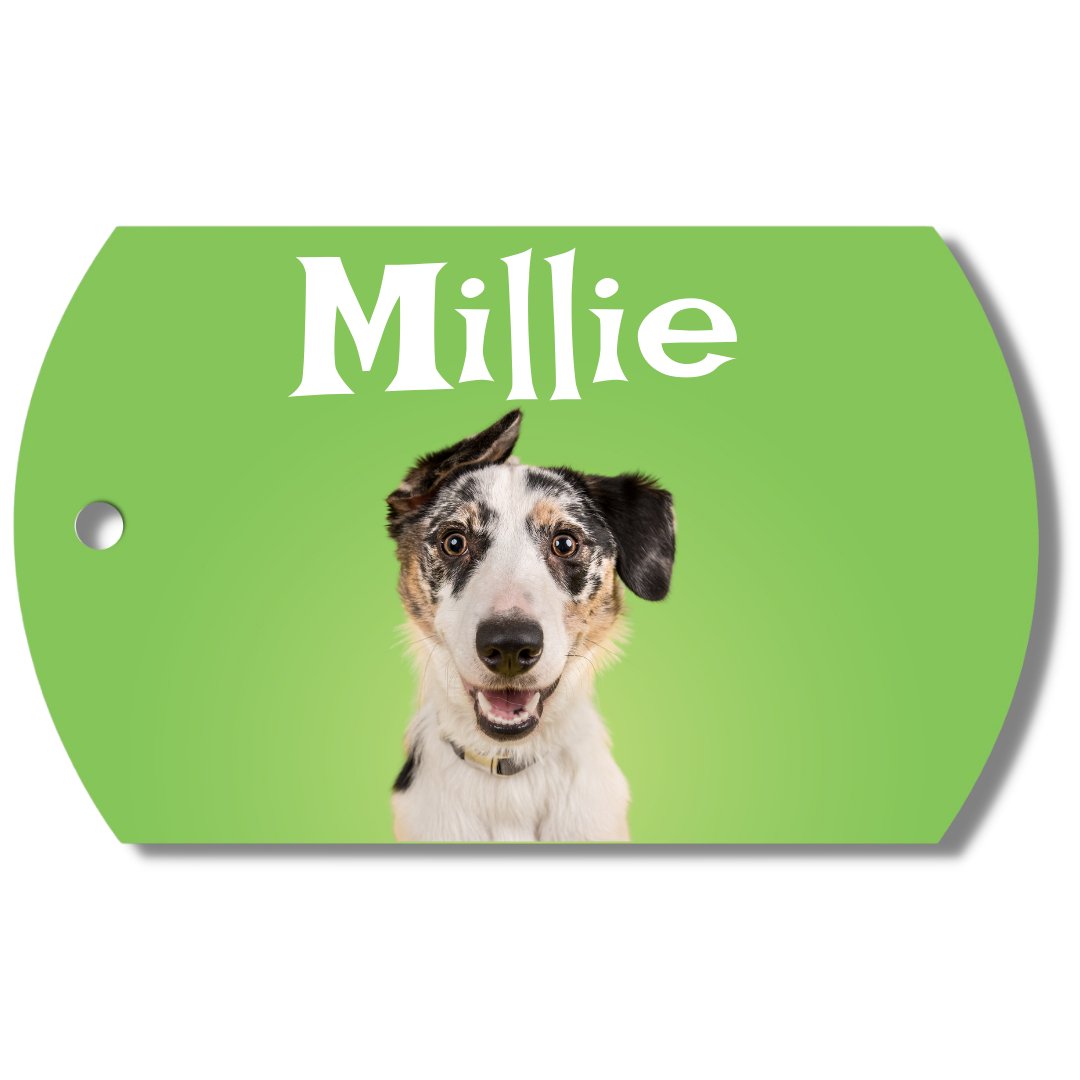 PawFurEver photo dog tag with a full-color pet photo 