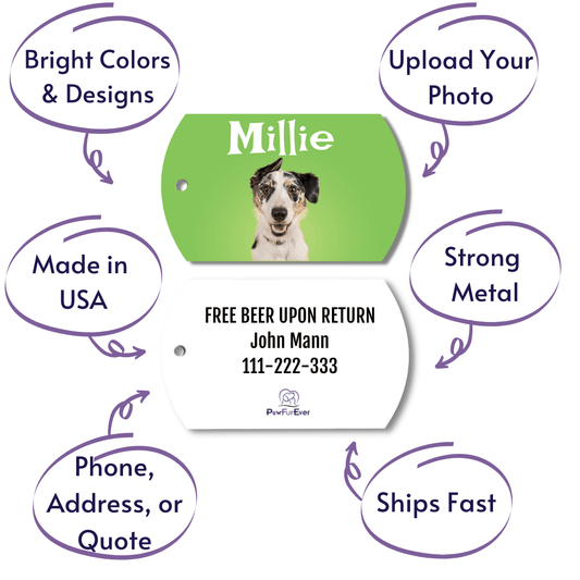 Photo Tag - Photo Tag (Green)