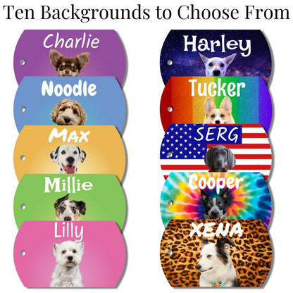 Photo Tag - Photo Tag (Purple)