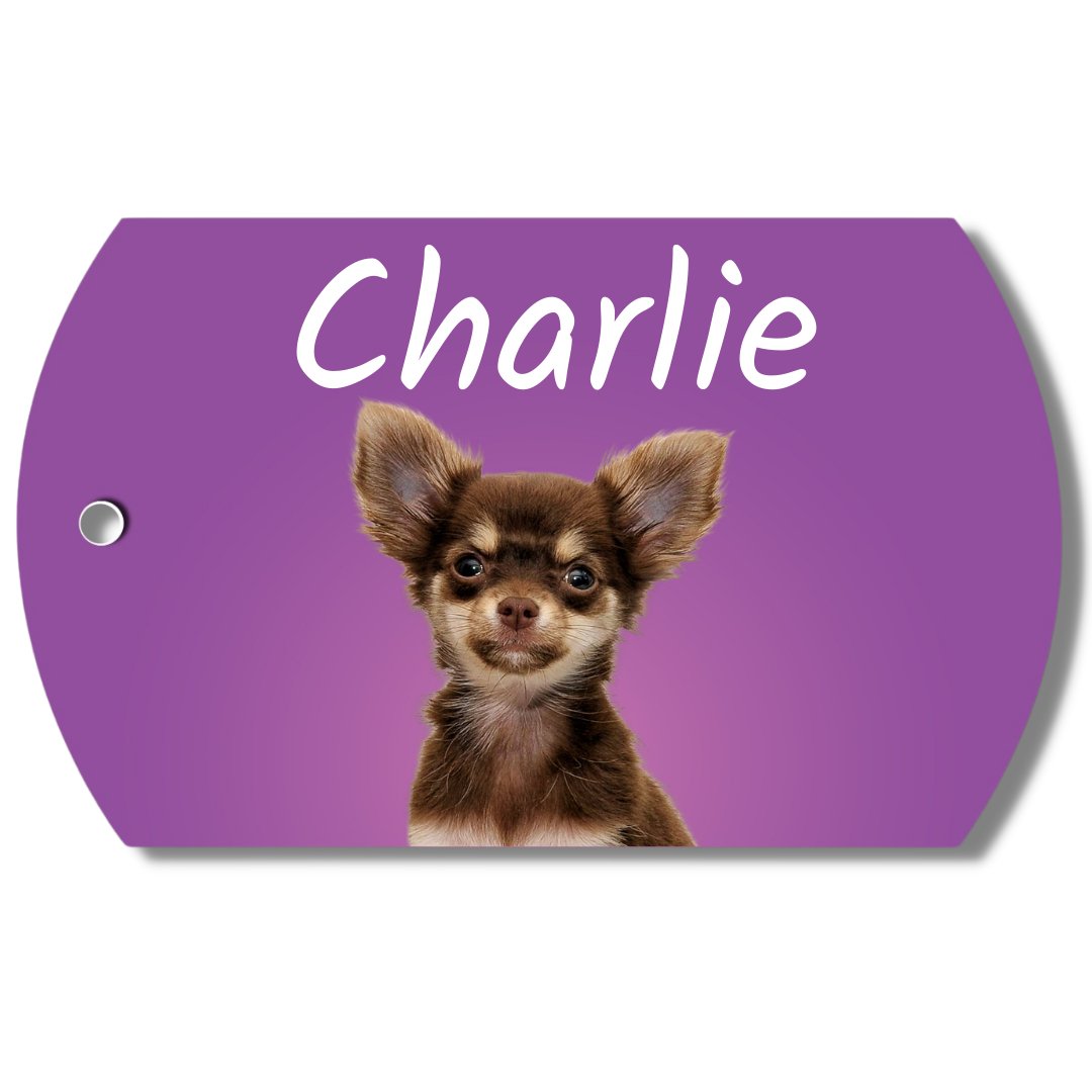 Photo dog tag with a Corgi's picture on a Space design background