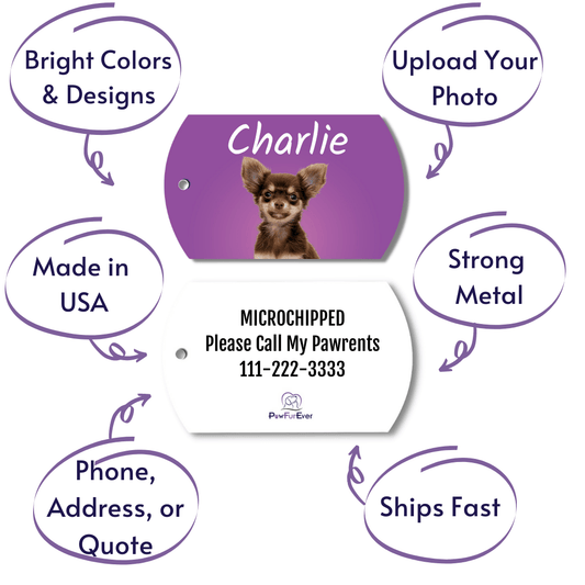 Photo Tag - Photo Tag (Purple)