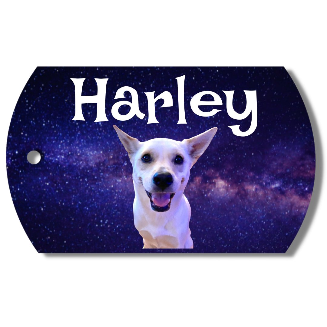 Personalized photo dog tag in aluminum showing a dog's photo on a colorful space design with its name