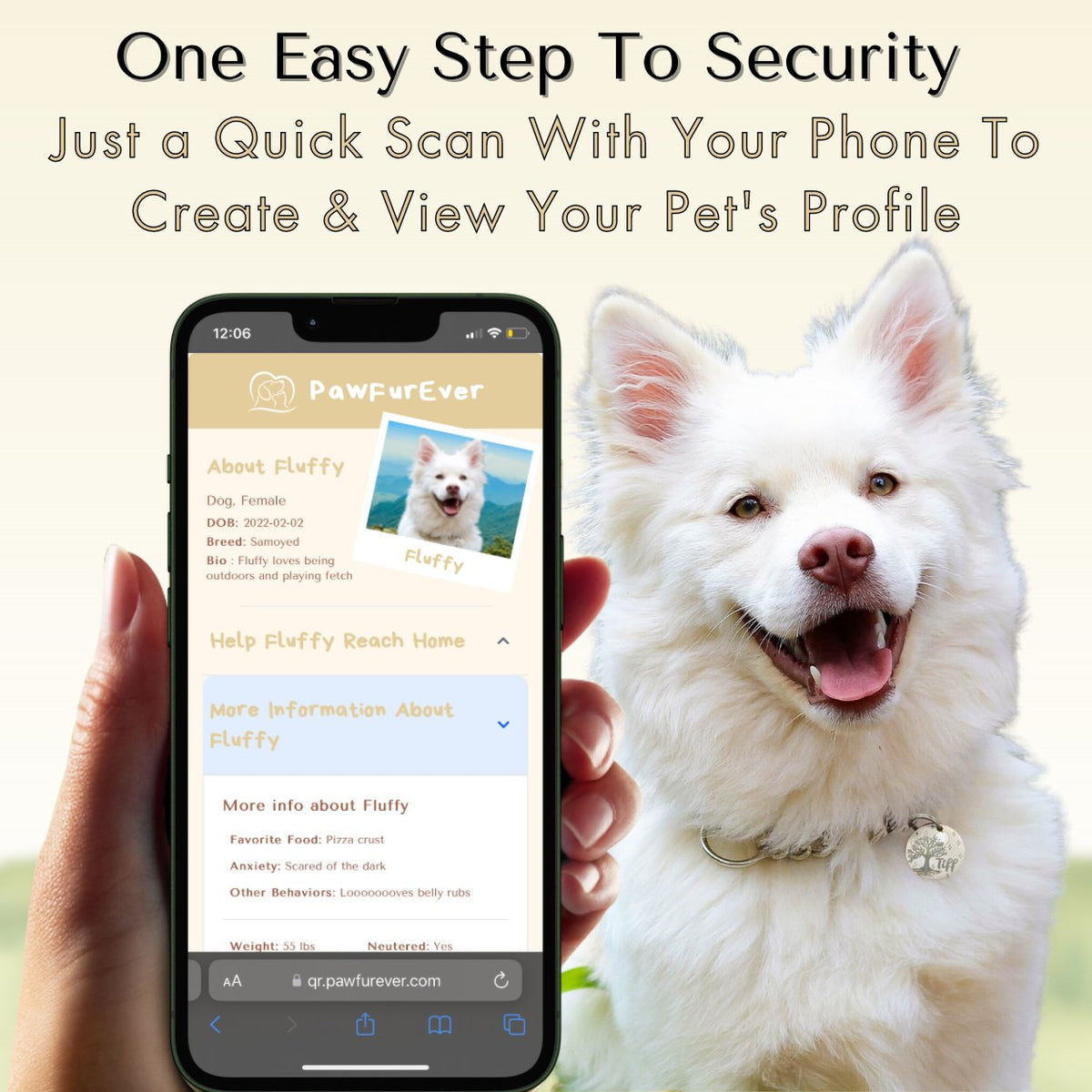 QR Tag - Personalized QR Code Dog Tag Ensure Your Pet's Safety Always (Gold, Beach)