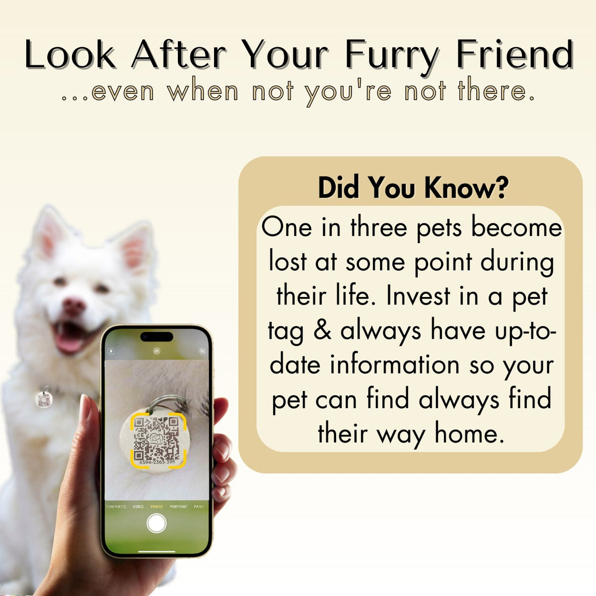 QR Tag - Personalized QR Code Dog Tag Ensure Your Pet's Safety Always (Gold, Beach)