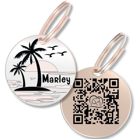 QR Tag - Personalized QR Code Dog Tag Ensure Your Pet's Safety Always (Rose Gold, Willow)